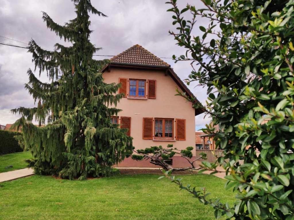 Chambre D'Hotes Chez Sylviane Niederhergheim Dış mekan fotoğraf